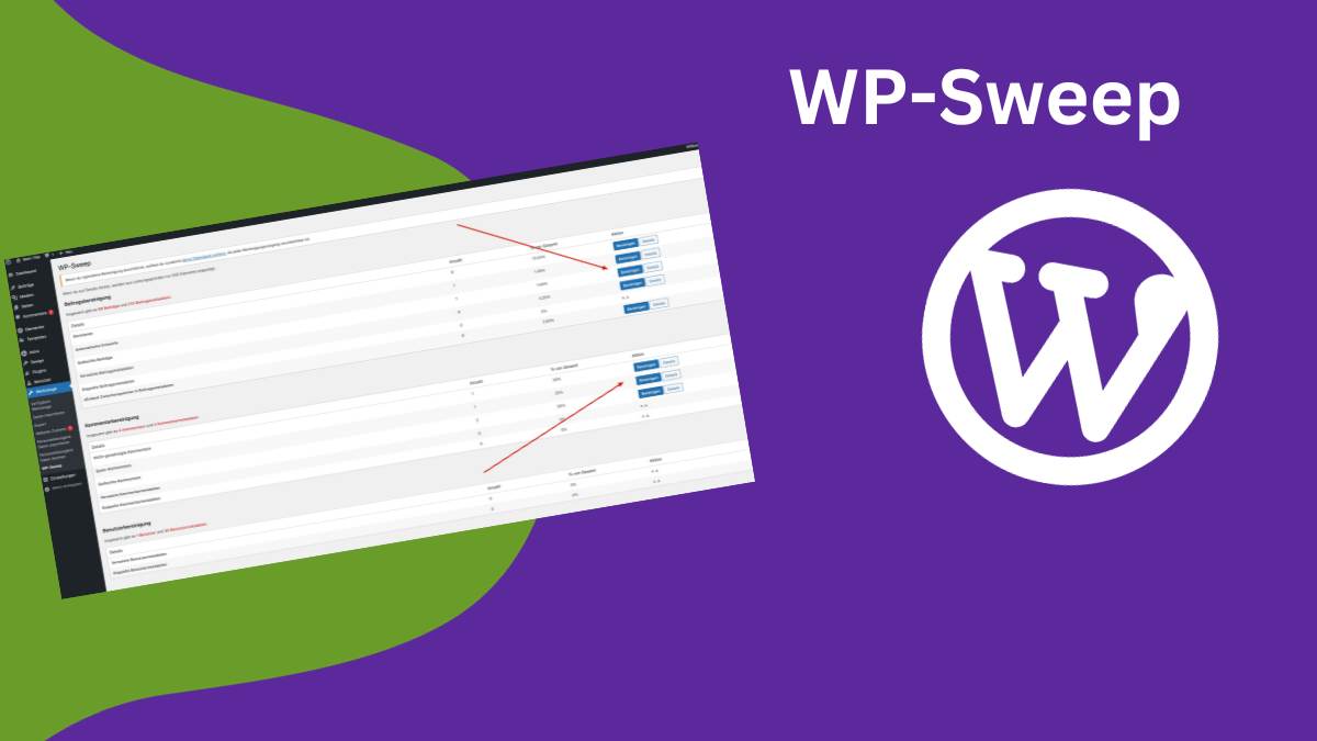 WP-Sweep WordPress Plugin: Optimiere deine Datenbank im Handumdrehen