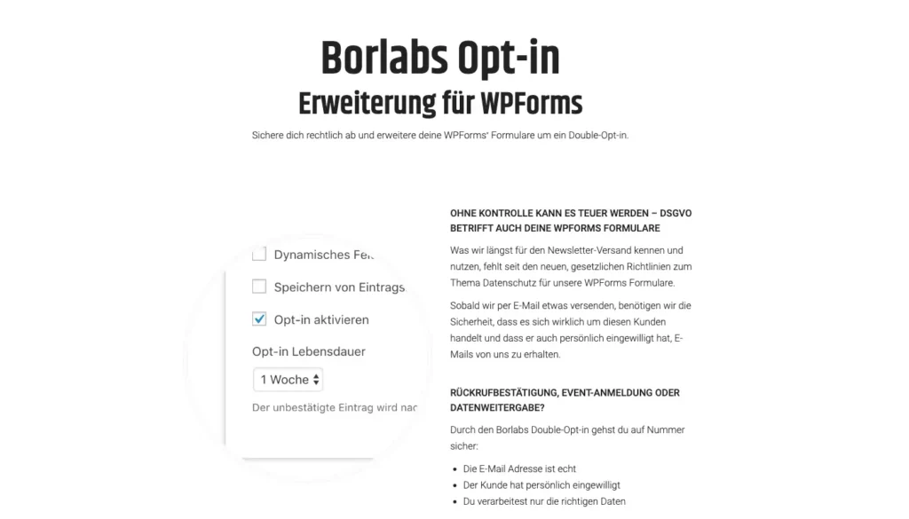 Borlabs Opt-in